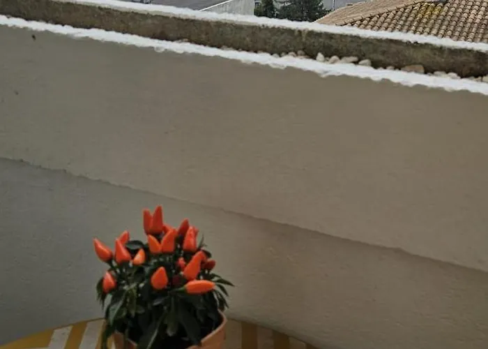 Apartament L'oeil Sur La Cite