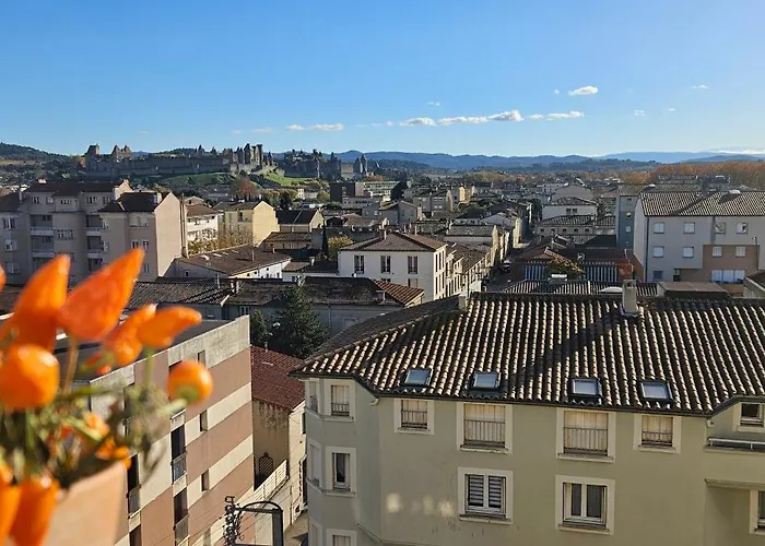 L'oeil Sur La Cite Carcassonne